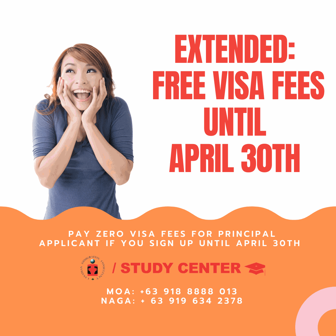 Odoo CMS - a big picture